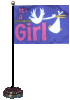 [It's A Girl Desk Flag]