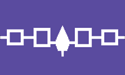 [Iroquois Confederacy Flag]