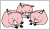 Pigs Flag