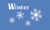 Winter Snowflakes Flag