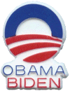 Obama-Biden plastic pin