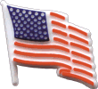[United States Plastic Flag Pin]