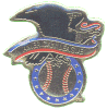 [American League Logo pin]