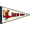 [Red Sox Pennant Cooperstown Pin]