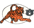 [Auburn University Pin]