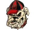 [University of Georgia Pin]