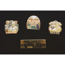 [Dan Marino Hall of Fame 3 Pin Set]