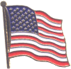 U.S. Flag Pin