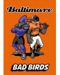 [Baltimore Bad Birds Banner Orange]