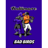 [Baltimore Bad Birds Banner Purple]