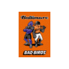 [Baltimore Bad Birds Banner Orange]