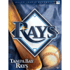 [Rays Banner]