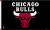 Chicago Bulls flag