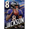 [Ravens Lamar Jackson House Size Banner]