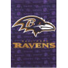 [Suede Glitter Ravens Banner]