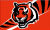 Cincinnati Bengals flag