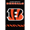 [Bengals Banner]