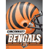 [Bengals Banner]