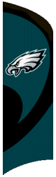 [Eagles Feather Flag Kit]