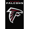 [Falcons Banner]