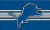 Detroit Lions flag