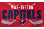 [Washington Capitals Sticks Flag]