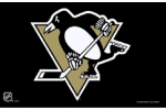 [Pittsburgh Penguins Flag]