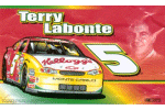 Terry Labonte Flag