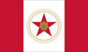 [Birmingham, Alabama Flag]