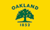 Oakland, California flag