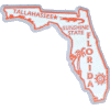 [Florida State Shape Magnet]