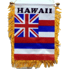 [Hawaii Mini Banner]