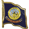 [Idaho Flag Pin]