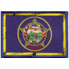 [Minnesota Flag Patch]