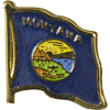 [Montana Flag Pin]