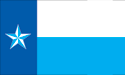 [Dallas County, Texas Flag]