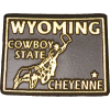 [Wyoming State Shape Magnet]