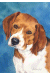 [Dog banners]