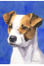 [Dog banners]