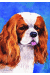 [Dog banners]