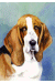 [Dog banners]