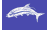 [Fisherman Catch flags]
