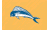 [Fisherman Catch flags]