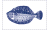 [Fisherman Catch flags]