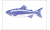 [Fisherman Catch flags]