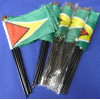 [Guyana Desk Flag Special]