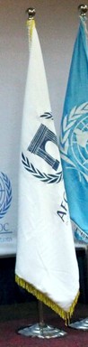 [Model United Nations]