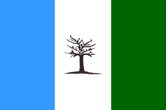 [La Puerta municipal flag]