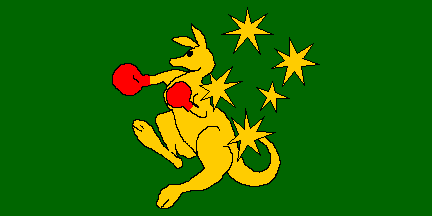 5' x 3' Boxing Kangaroo Flag Australia Australian Flags Banner 