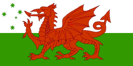 [Welsh-Australian flag]